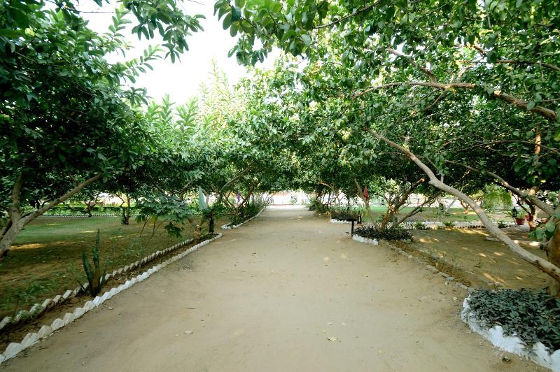 Bagh Dera Camp image