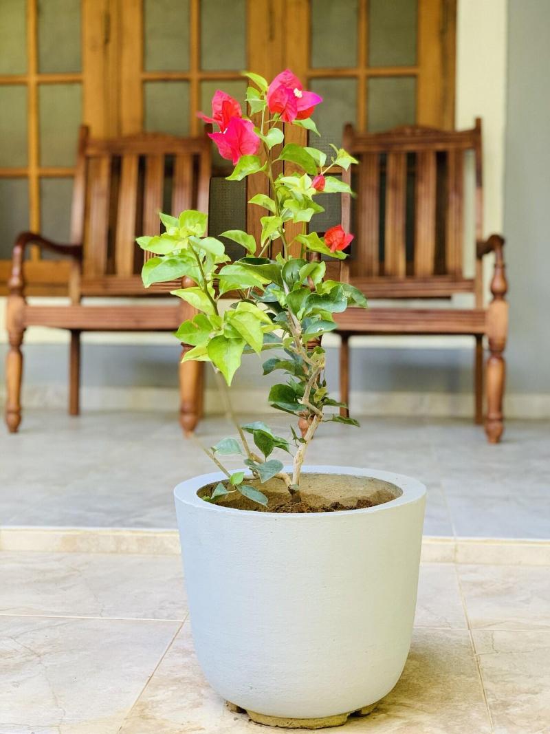 Kandy Eco Paradise — main photo