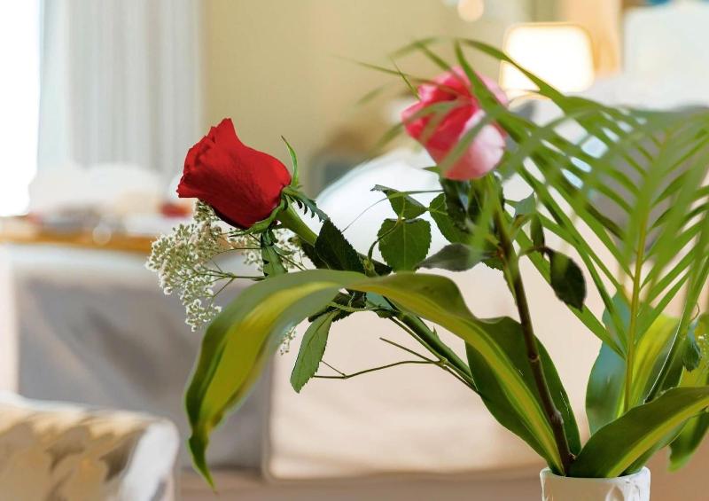 Almansour Suites Hotel Doha image