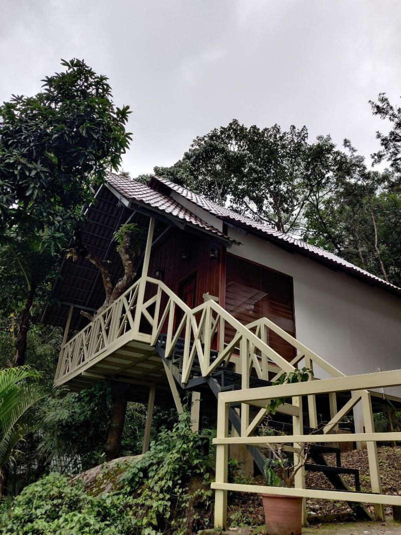 woodrose resort