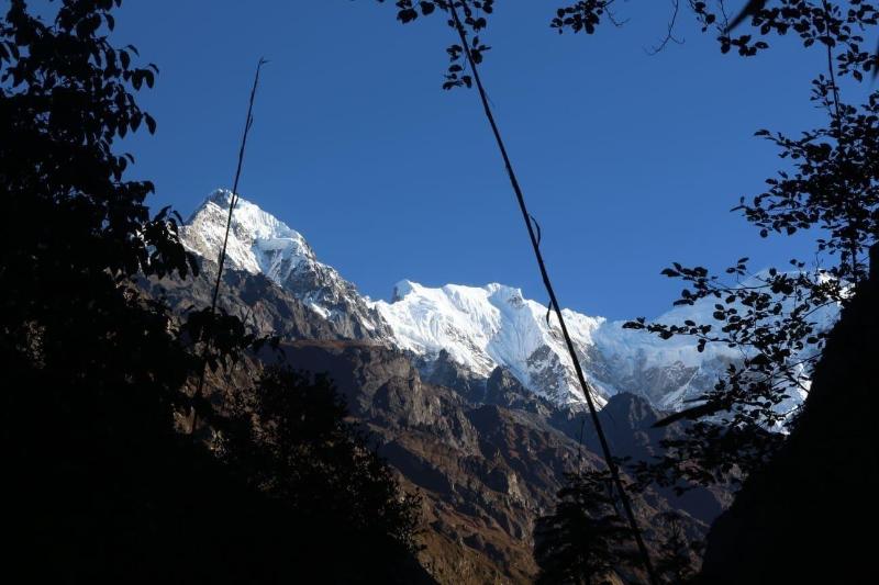Shree yoga retreat image