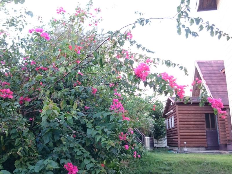 Garden Beach House image
