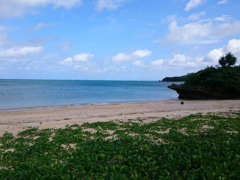 Garden Beach House image