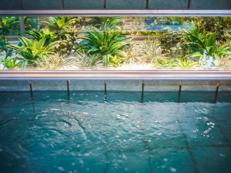 Super Hotel Kouchi Natural Hot Springs image