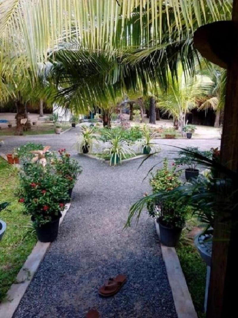 Kite Paradise Hostel-Kalpitiya image