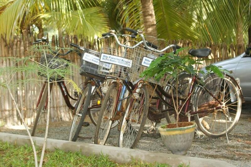 Kite Paradise Hostel-Kalpitiya image