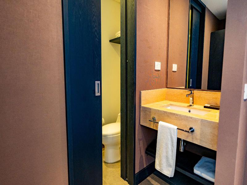 Hampton By Hilton Santiago Las Condes image