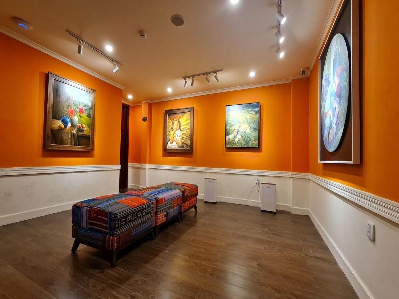 Cat Cat Galerie D Art