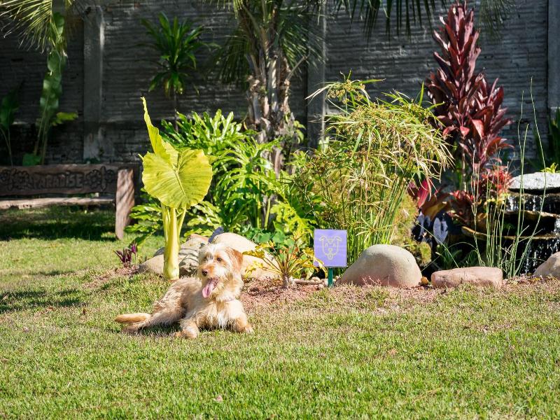 Makkai Resort Bombinhas