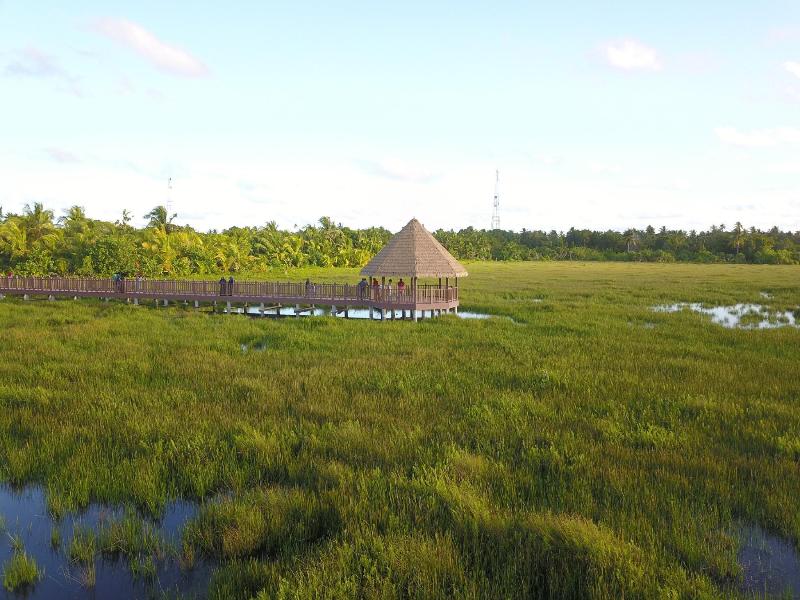 Calyx Grand Fuvahmulah