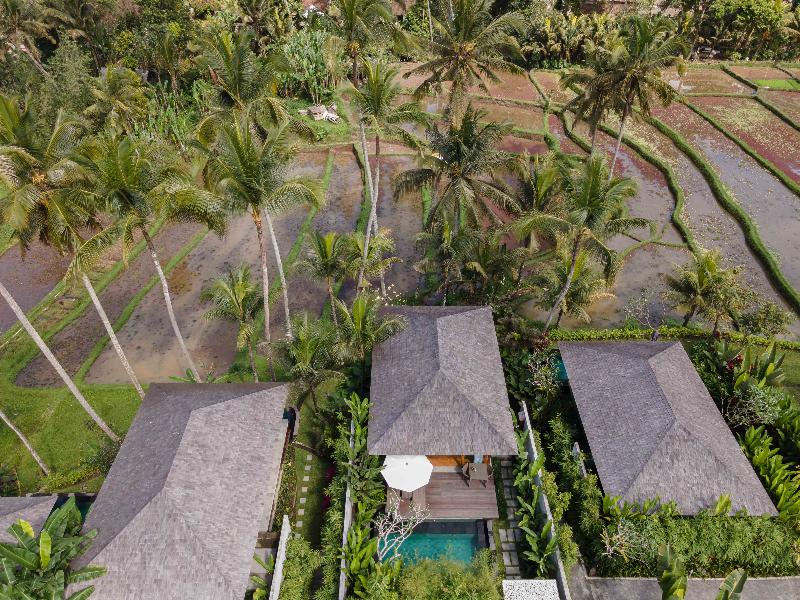 Kappa Senses Ubud image