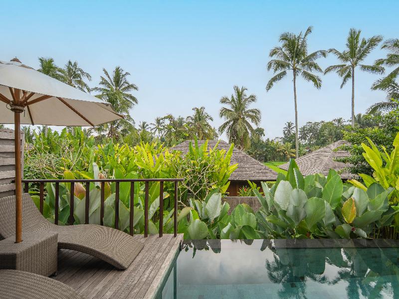 Kappa Senses Ubud image