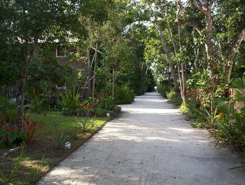 Pousada Vila Araticum Praia