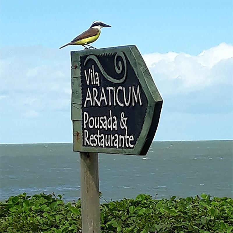 Pousada Vila Araticum Praia