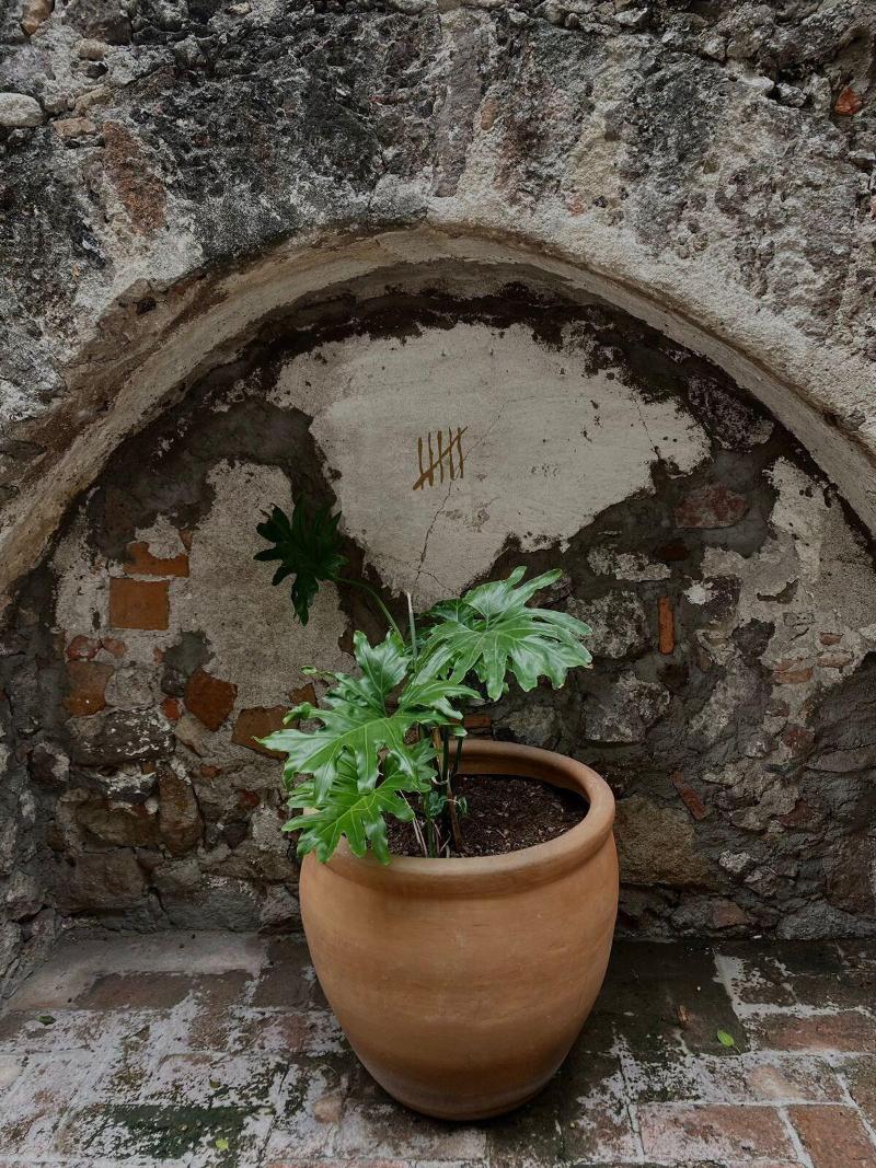 Clandestino Hotel - Adults Only image