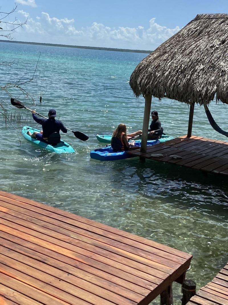 Agave Blue Bacalar image