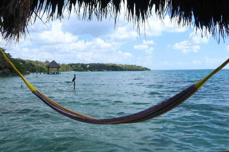 Agave Blue Bacalar image