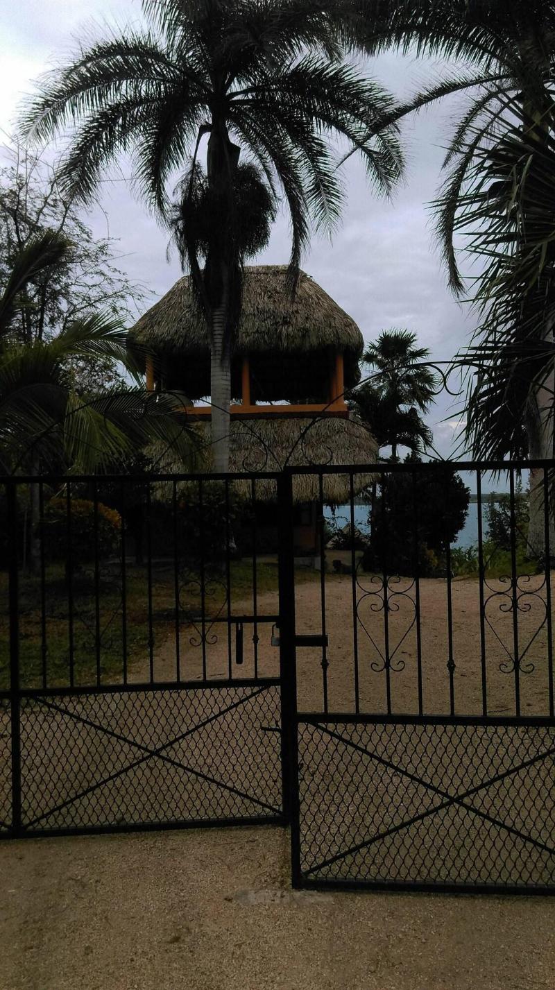 Agave Blue Bacalar image