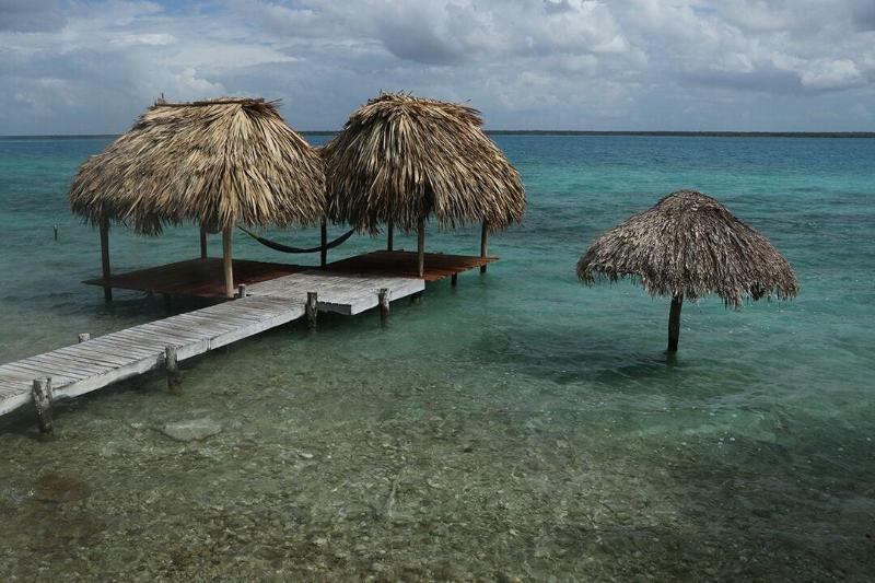 Agave Blue Bacalar image