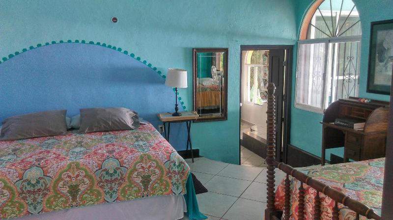 Agave Blue Bacalar image