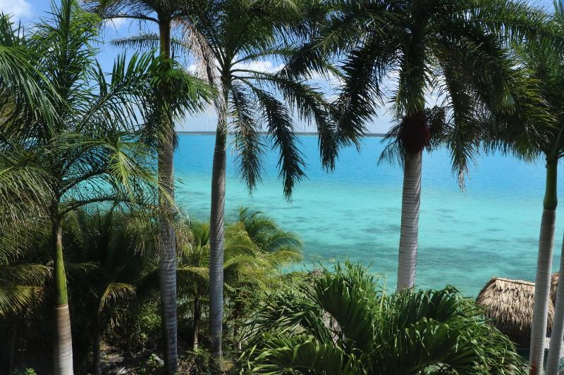 Agave Blue Bacalar image