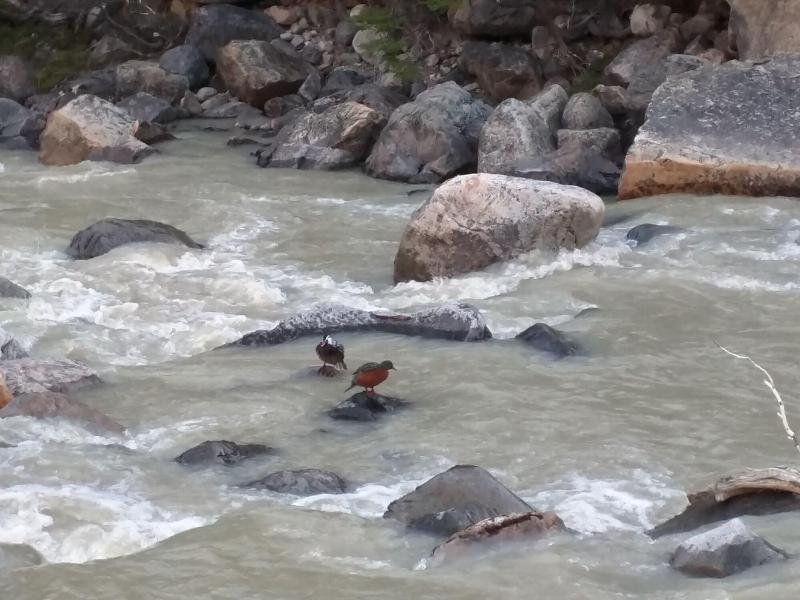 Puesto Cagliero en Estancia Los Huemules
