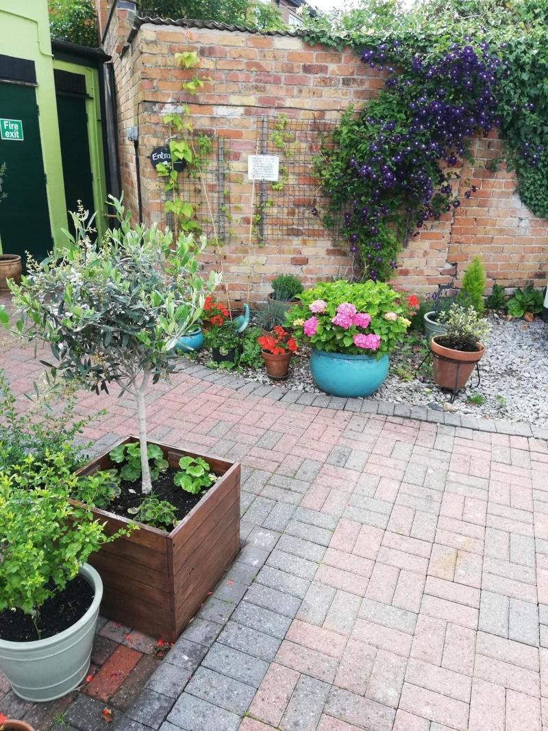 Olive Tree Guest House image