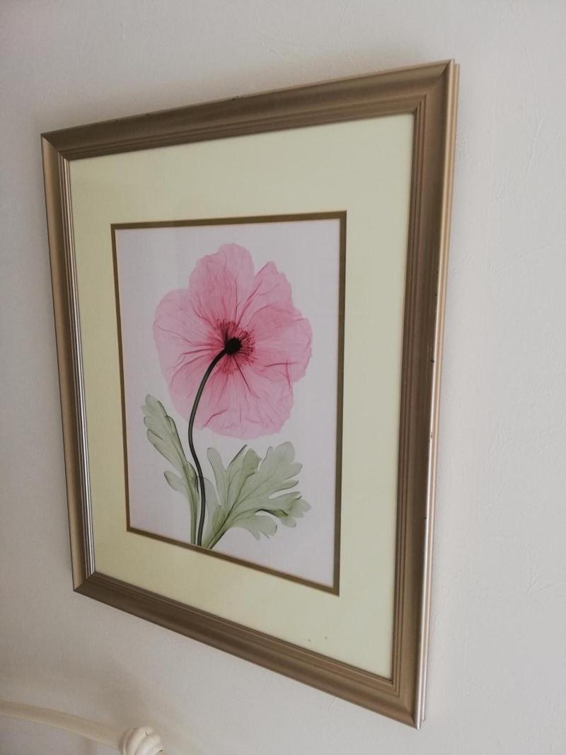 Olive Tree Guest House image