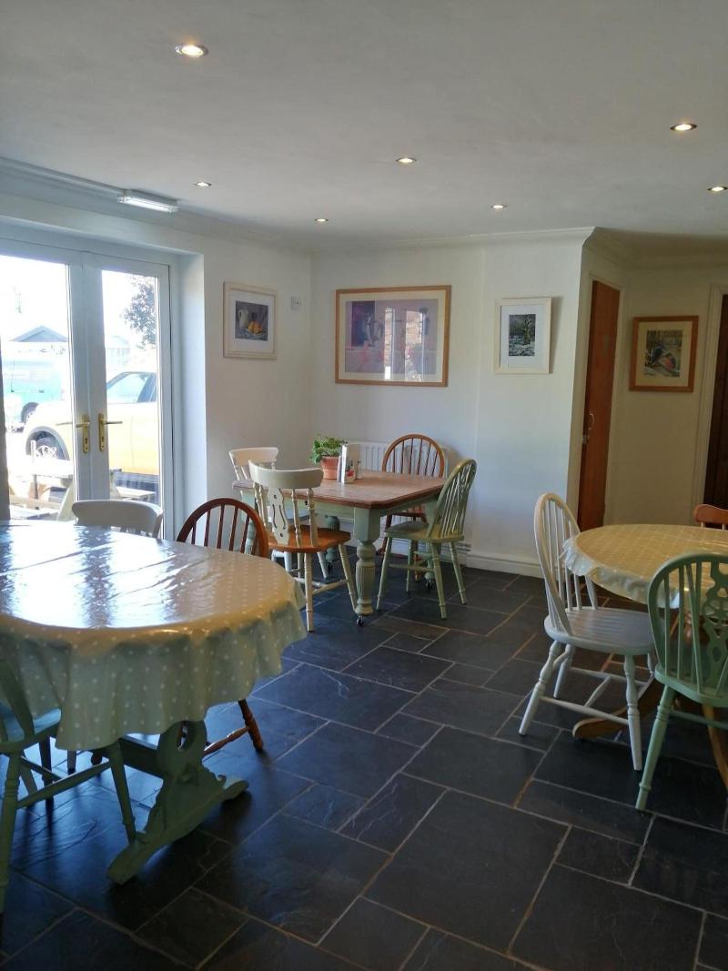 Olive Tree Guest House image