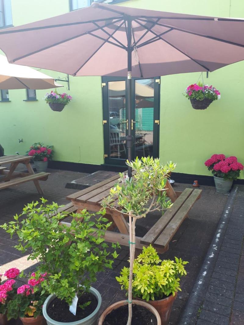 Olive Tree Guest House image