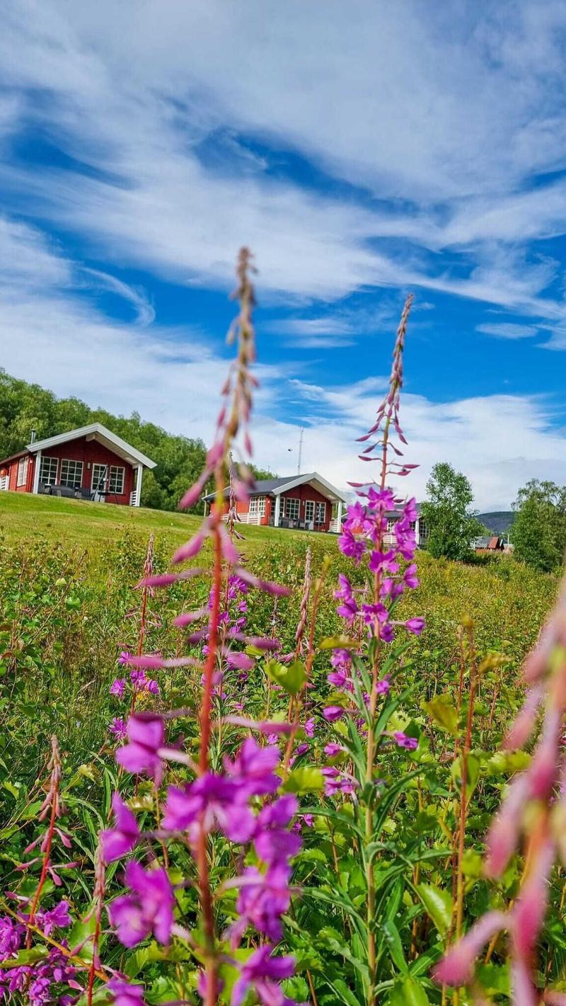 Levajok Fjellstue Adventures