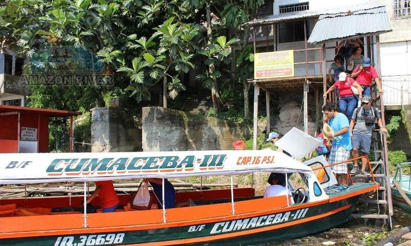 Cumaceba Amazon Lodge image