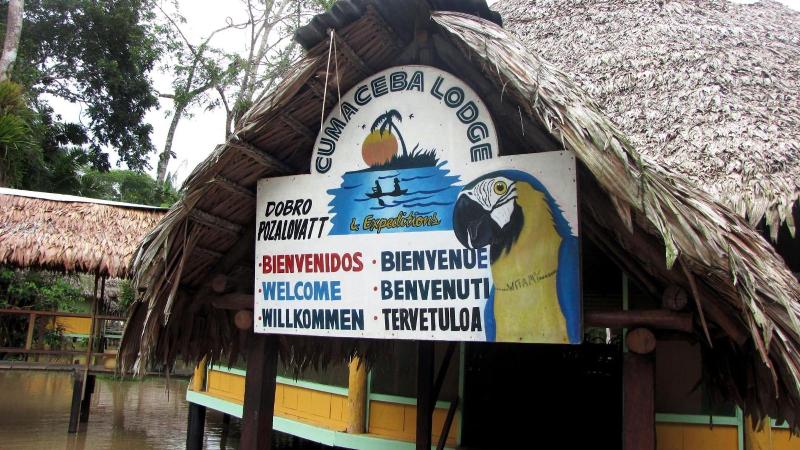 Cumaceba Amazon Lodge image