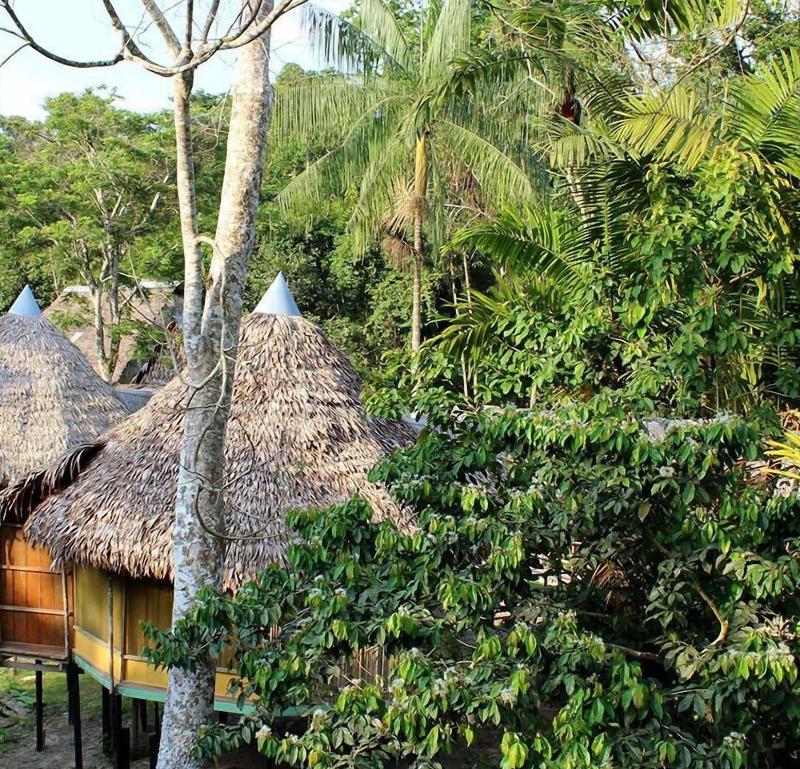 Cumaceba Amazon Lodge image
