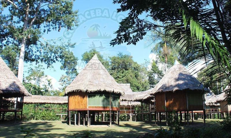 Cumaceba Amazon Lodge image