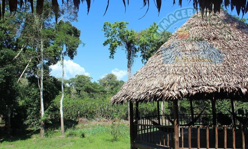 Cumaceba Amazon Lodge image