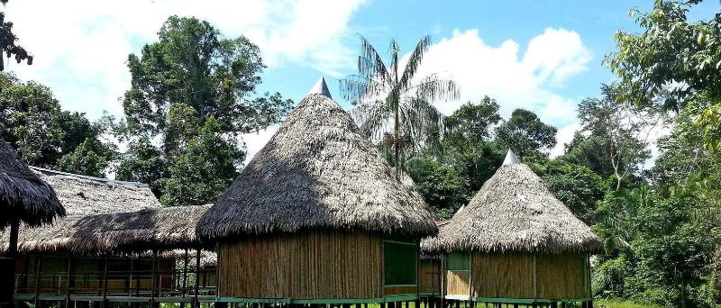 Cumaceba Amazon Lodge image