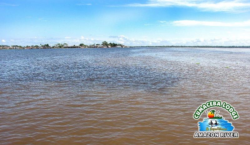 Cumaceba Amazon Lodge image