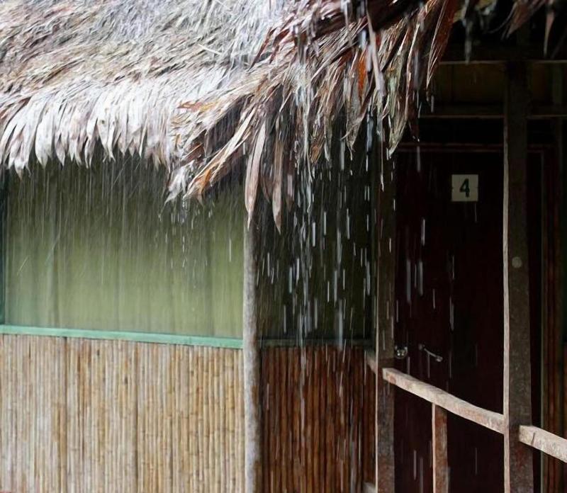 Cumaceba Amazon Lodge image