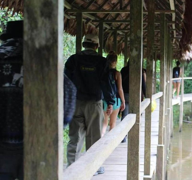 Cumaceba Amazon Lodge image