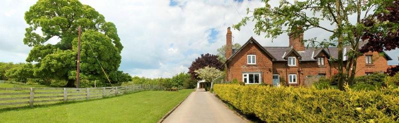 Brush and Boot B&B image
