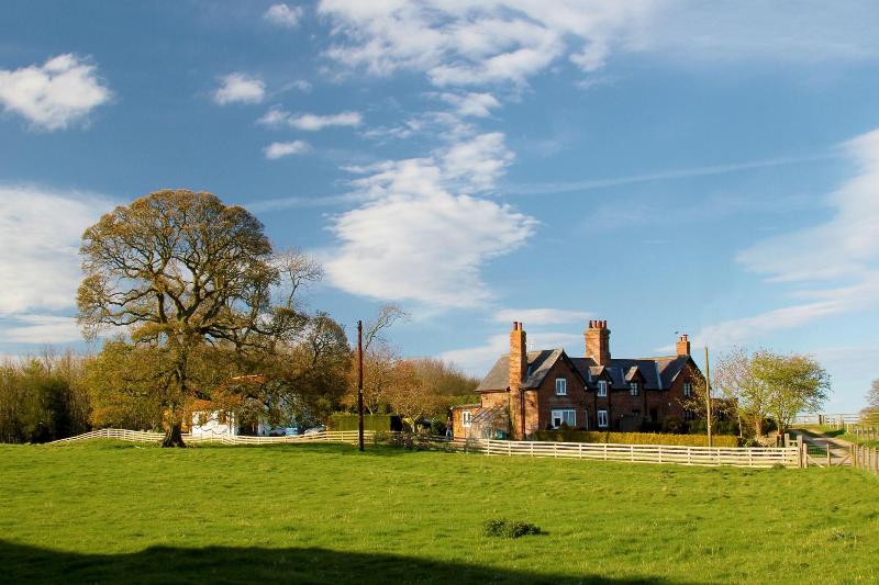 Brush and Boot B&B image