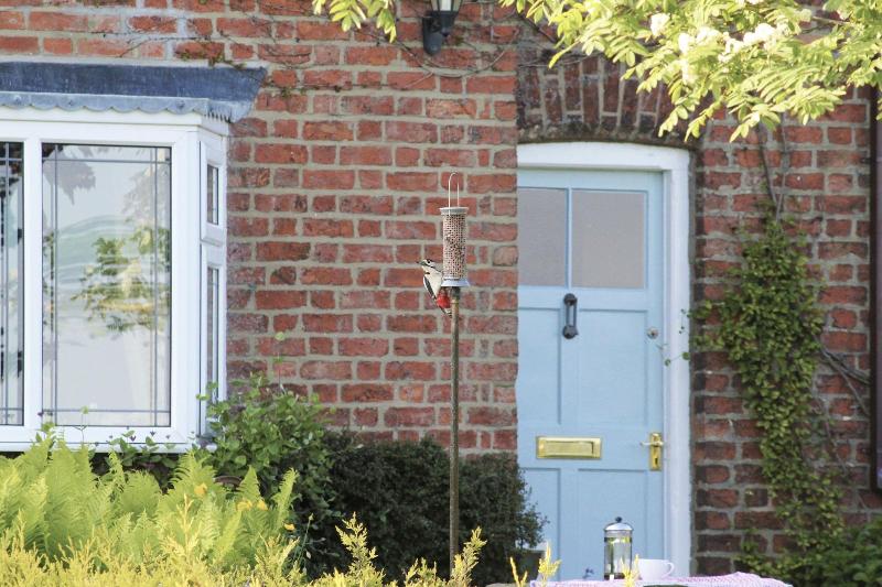 Brush and Boot B&B image