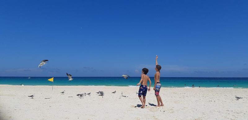 Amigo Rental image