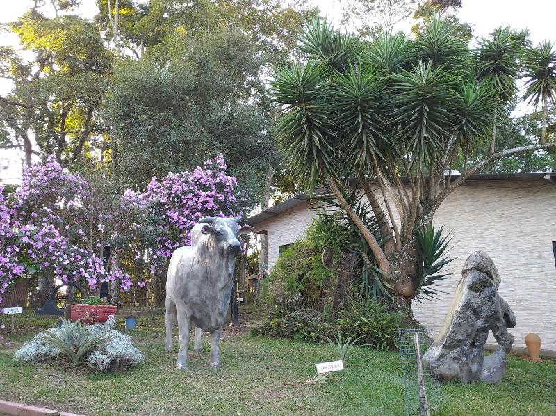 Pousada Juriti Eco Hotel image