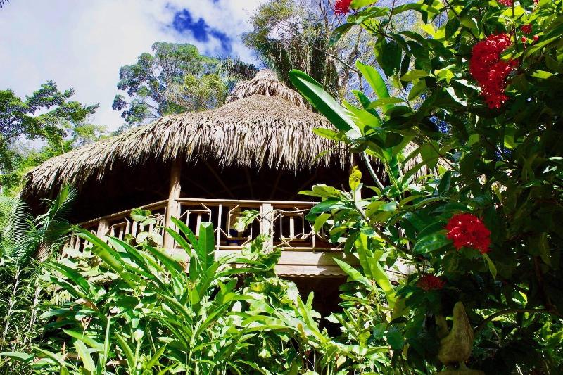 Villas Pico Bonito image