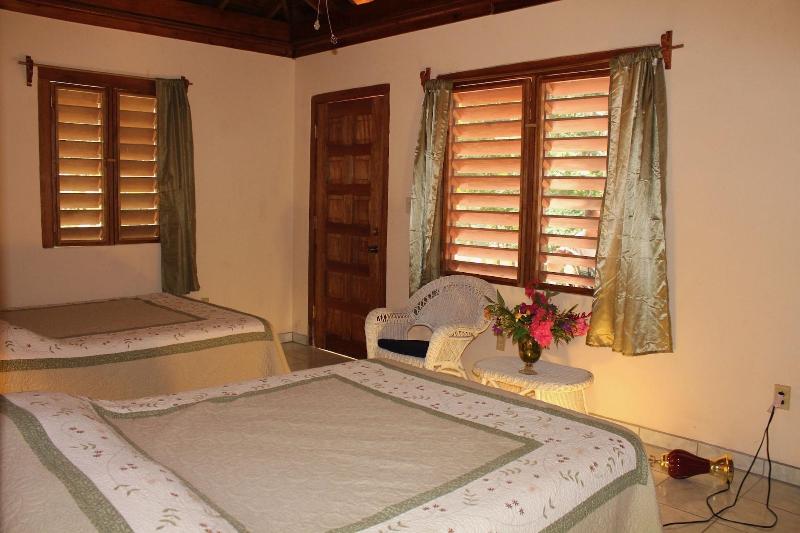 Villas Pico Bonito image