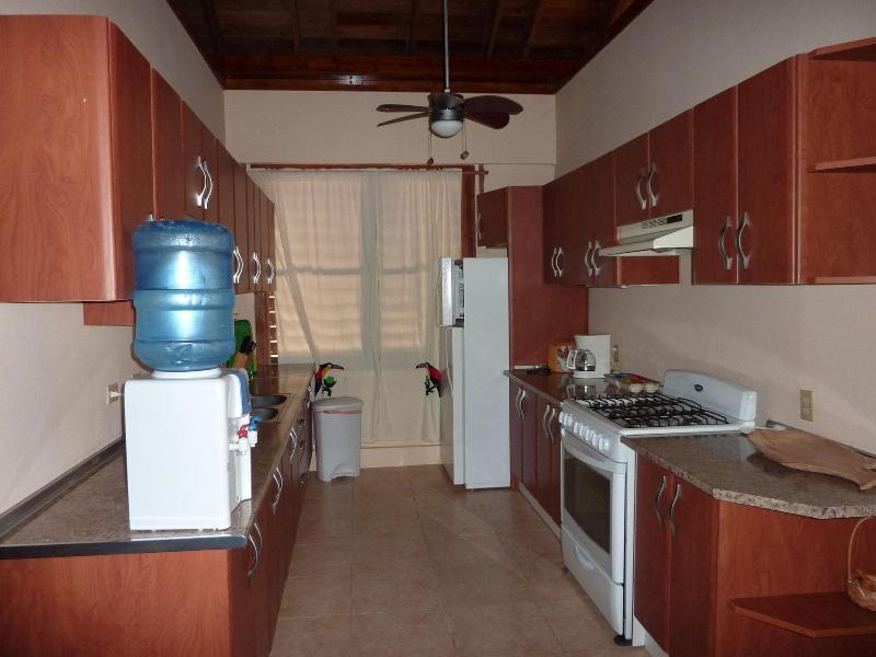 Villas Pico Bonito image