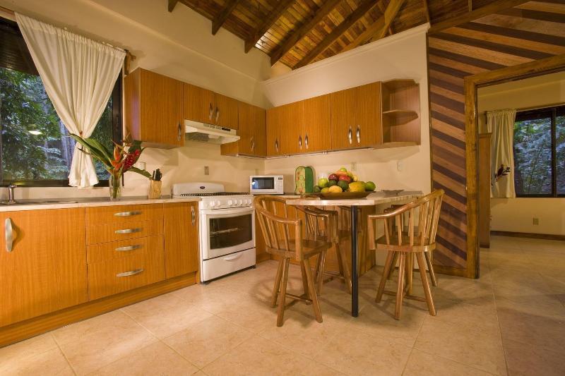 Villas Pico Bonito image