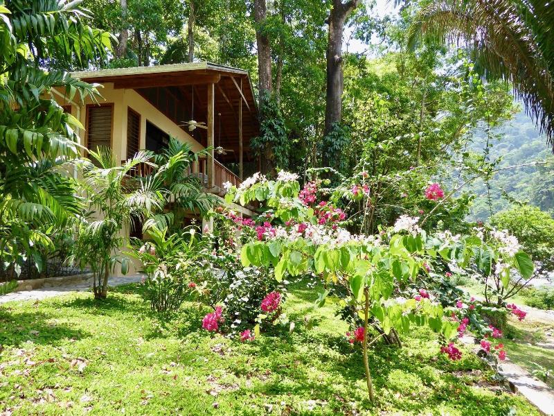 Villas Pico Bonito image